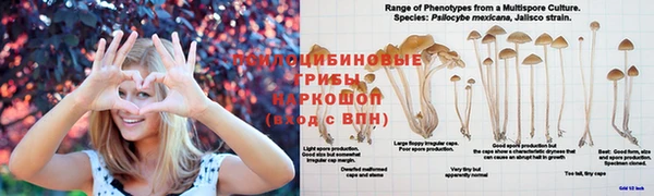 мяу мяу кристалл Абаза
