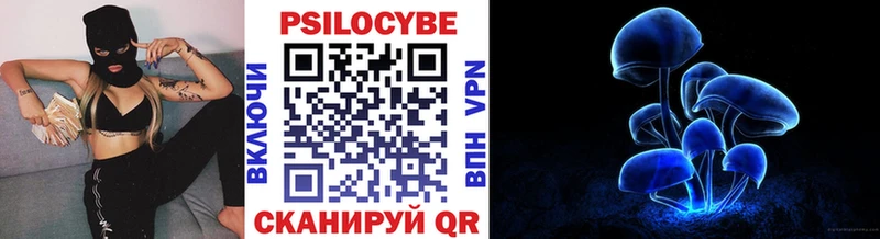Псилоцибиновые грибы Psilocybe  ссылка на мегу ССЫЛКА  Никольск 